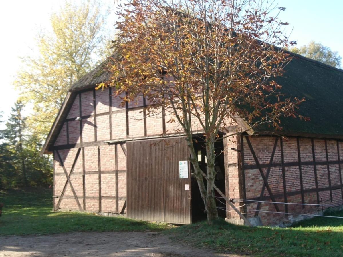Reiterhof Gross Stubben Apartment Poseritz Exterior foto